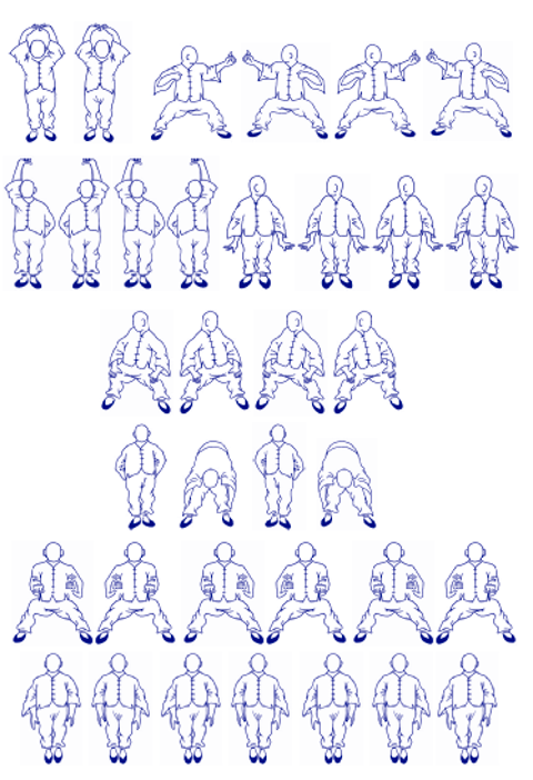 ZenmaX Baduanjin qigong training , Hachidankin symmetric in two directions