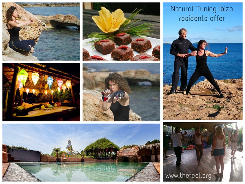 One day seminars Natural Tuning Ibiza residents