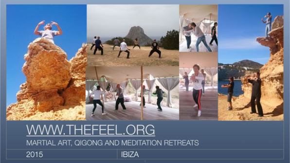 TheFeel offers martial arts, qigong, and meditation retreats