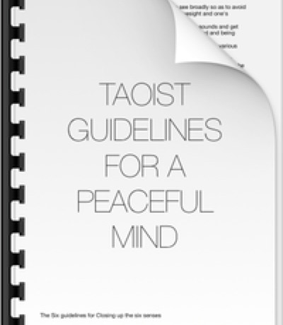 "The first guideline is that the eye looks but does not see broadly, avoiding interference from various colorful sights.