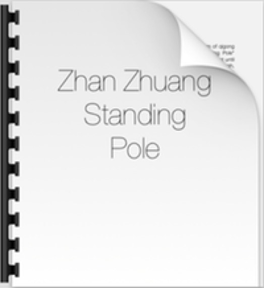 Discover the origins and development of Zhan Zhuang, or "Standing Pole,"