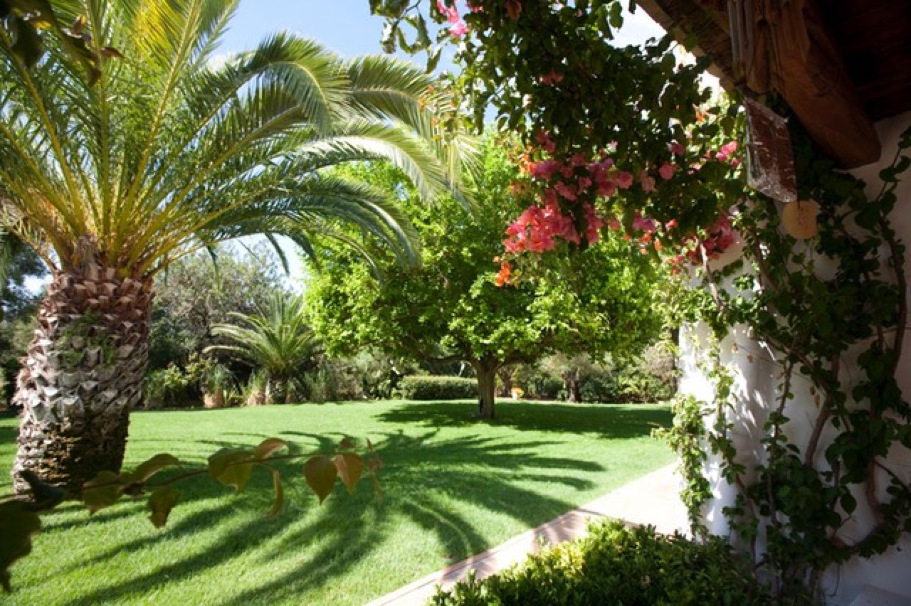 A fully grown natural garden is a treasure and the fountain of life for any property.