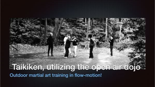 Ki in Tai Ki Ken briefly explained: The principle of Ki (Qi in Chinese), the intrinsic vitality