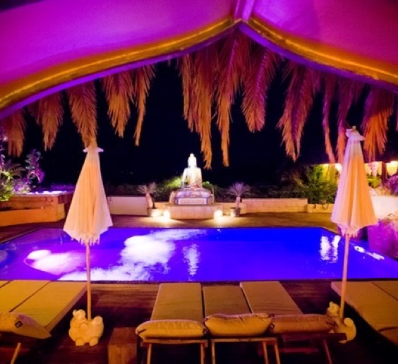 AI - Nature Retreats - Workshops -Internal Martial arts - Qigong -Meditation - Mindfulness  