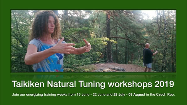 Start your holiday with a healing and energising Forest Bath - Shinrin Yoku!