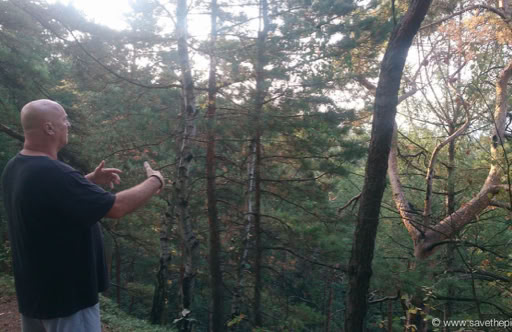 Eric standing strong since the early days of Taikiken practice