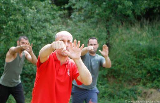 Jochem Taikiken straight punch with backup hand